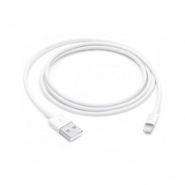 Кабель Apple Lightning - USB (2 m)